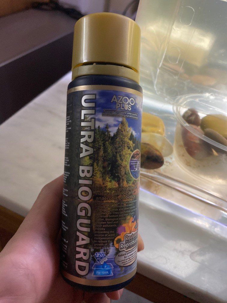 Bioguard store dog shampoo