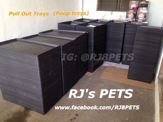 (Category: ) located in . Submitted by rj8pets (Listing ID 1254925162, Image 1). Description: .