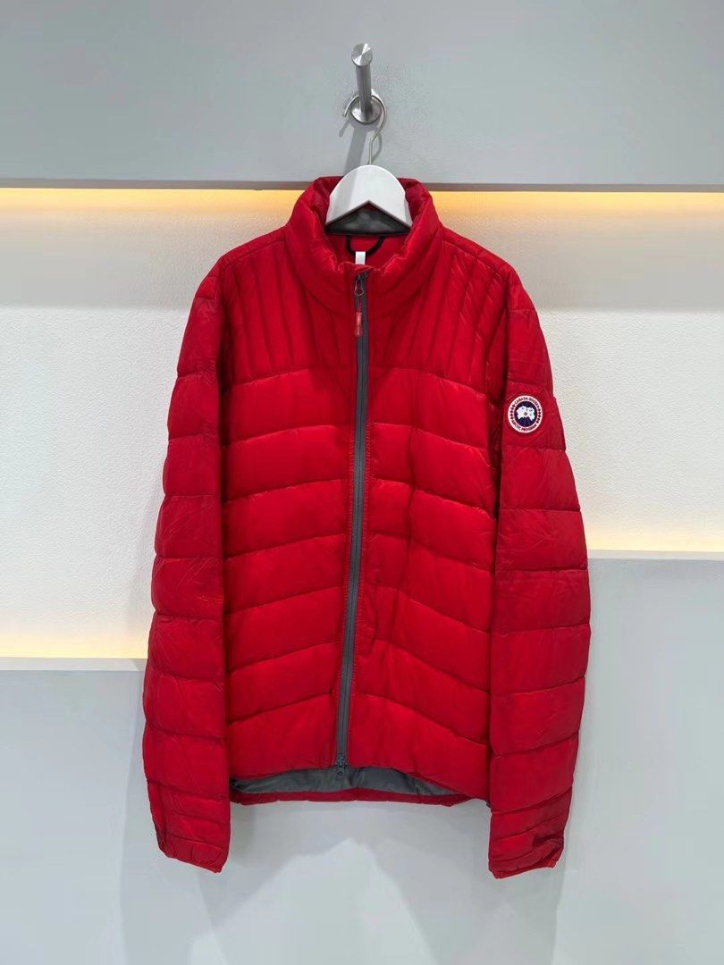 Canada goose