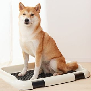 CHEAP! BRAND NEW WEPETS DOG PUPPY PEE TRAY TRAINING TOILET BLACK