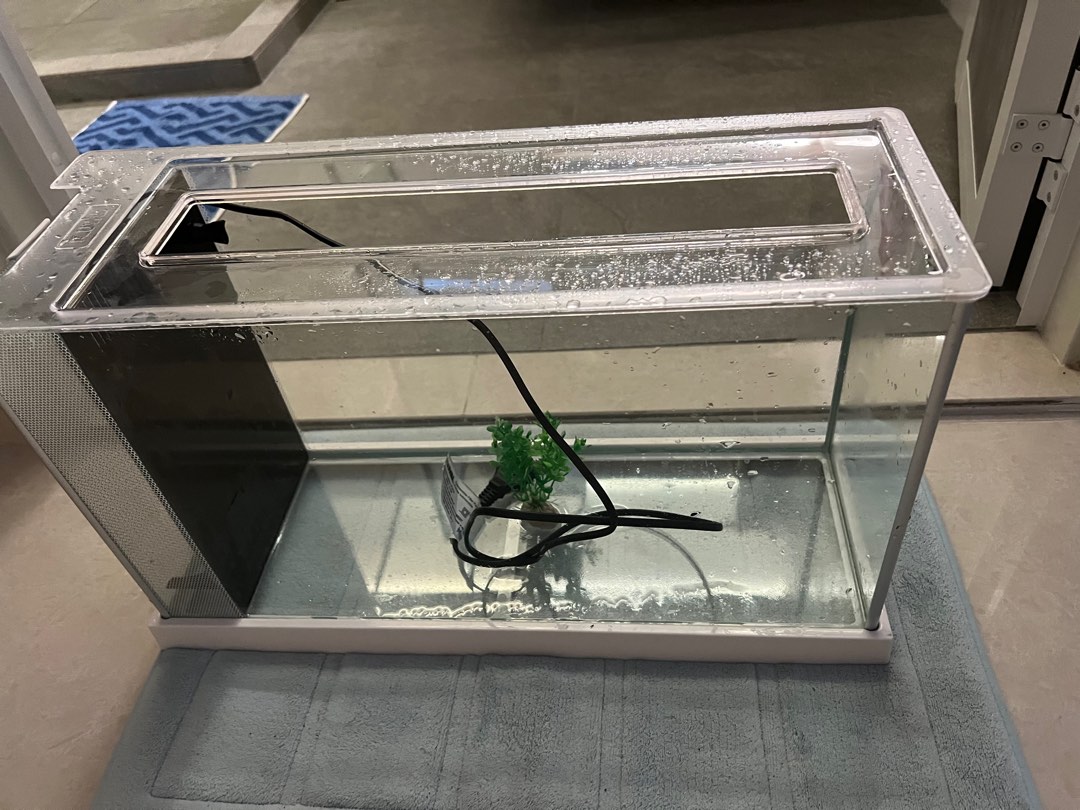 Fluval fish tank, Pet Supplies, Homes & Other Pet Accessories on Carousell