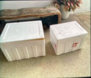 Ice box 2024 kecil