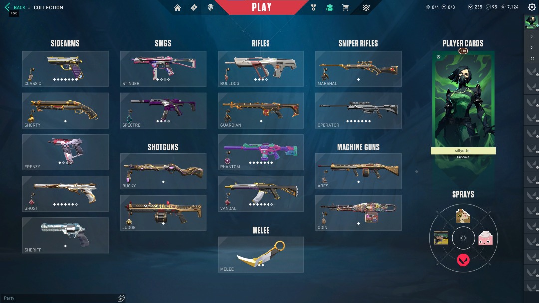 Immortal Valorant Account For Sale, Video Gaming, Gaming Accessories