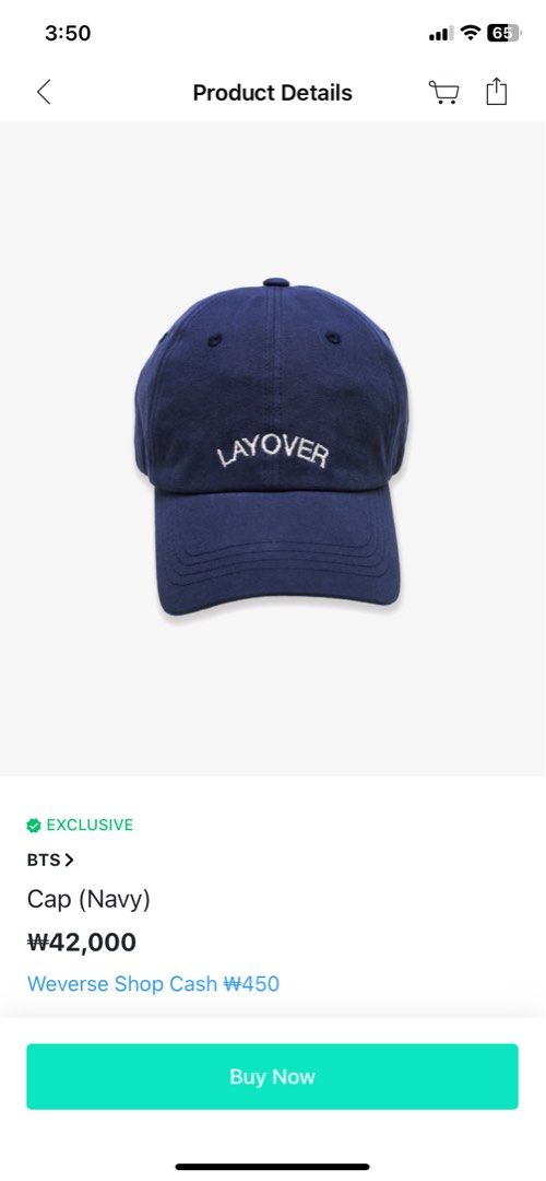 LAYOVER]CAP (navy) - キャップ