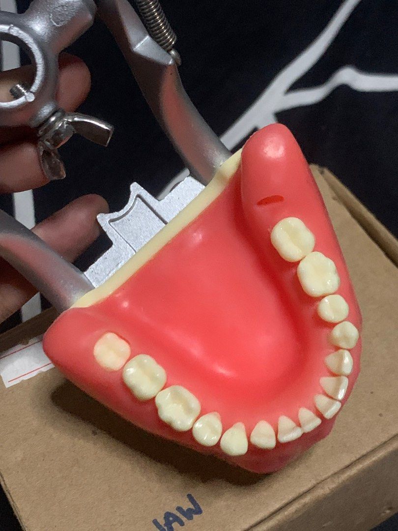 OS Jaw Articulator Oral Surgery Jaw Artictulator, Health & Nutrition, Medical Supplies & Tools