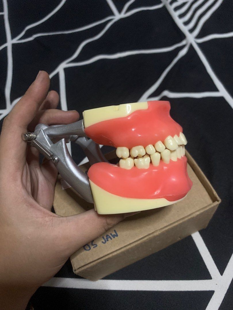 OS Jaw Articulator Oral Surgery Jaw Artictulator, Health & Nutrition, Medical Supplies & Tools