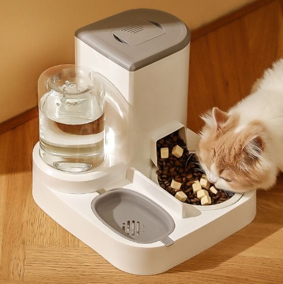Electronic cat top bowl