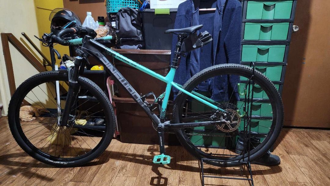 Pinewood shop storm 29er