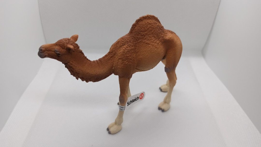 Schleich camel sales