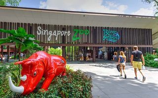 Night Safari $30 | Bird Paradise $32 | Singapore Zoo $33 | Gardens by the Bay Tickets | Singapore Flyer | Singapore River Cruise | MBS SkyPark | Art Science Museum Future World | Kidztopia