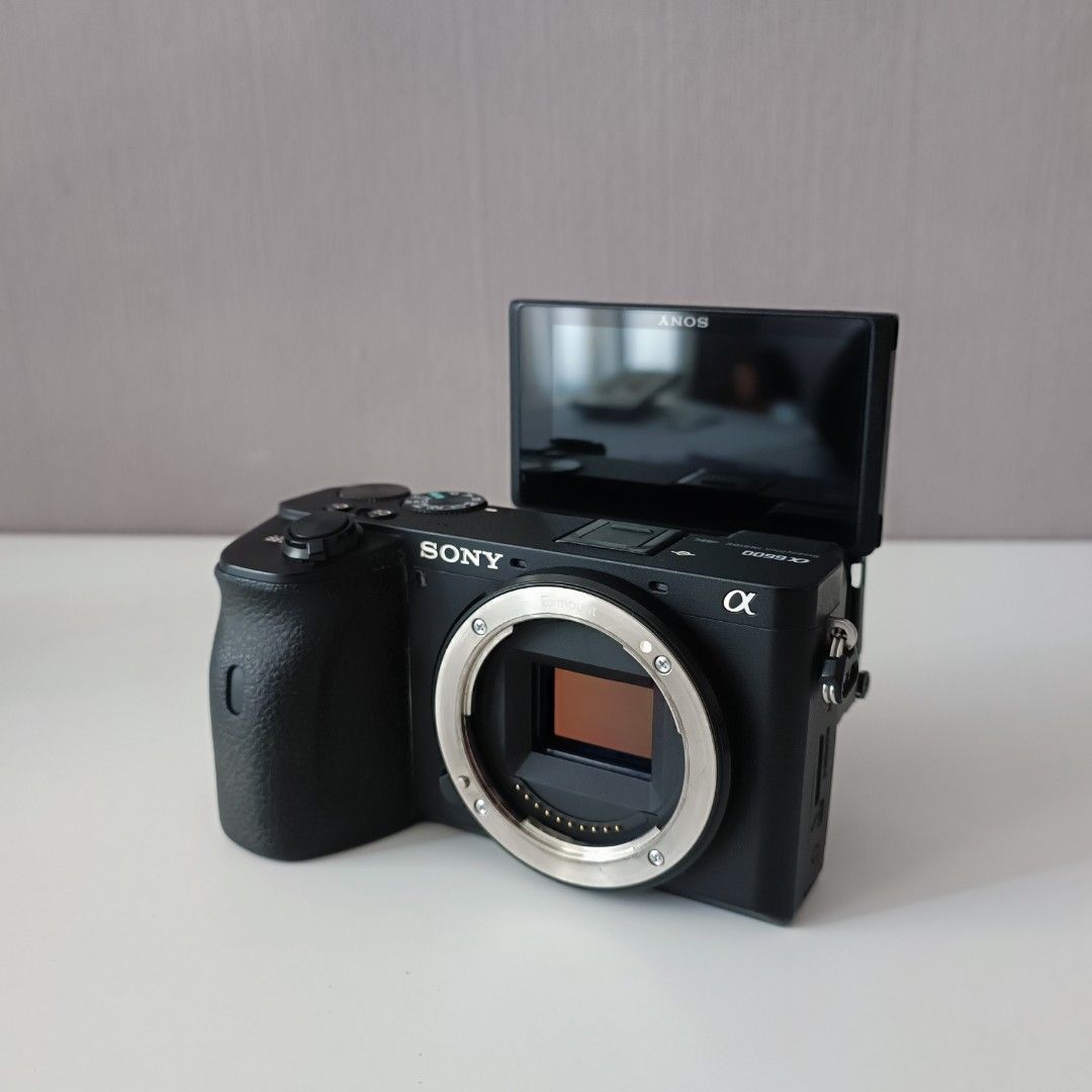 Sony A6600 Camera Body