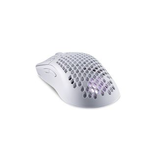 (Category: ) located in . Submitted by corgeshop051337379 (Listing ID 1254880339, Image 1). Description: .