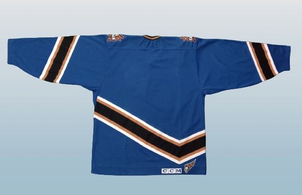 Washington capitals hotsell vintage jersey