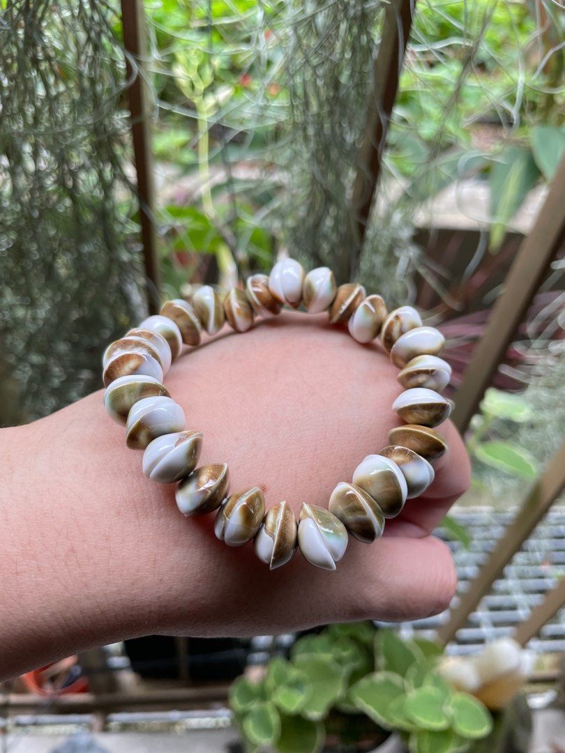 Conch shell bracelet with cert Women s Fashion