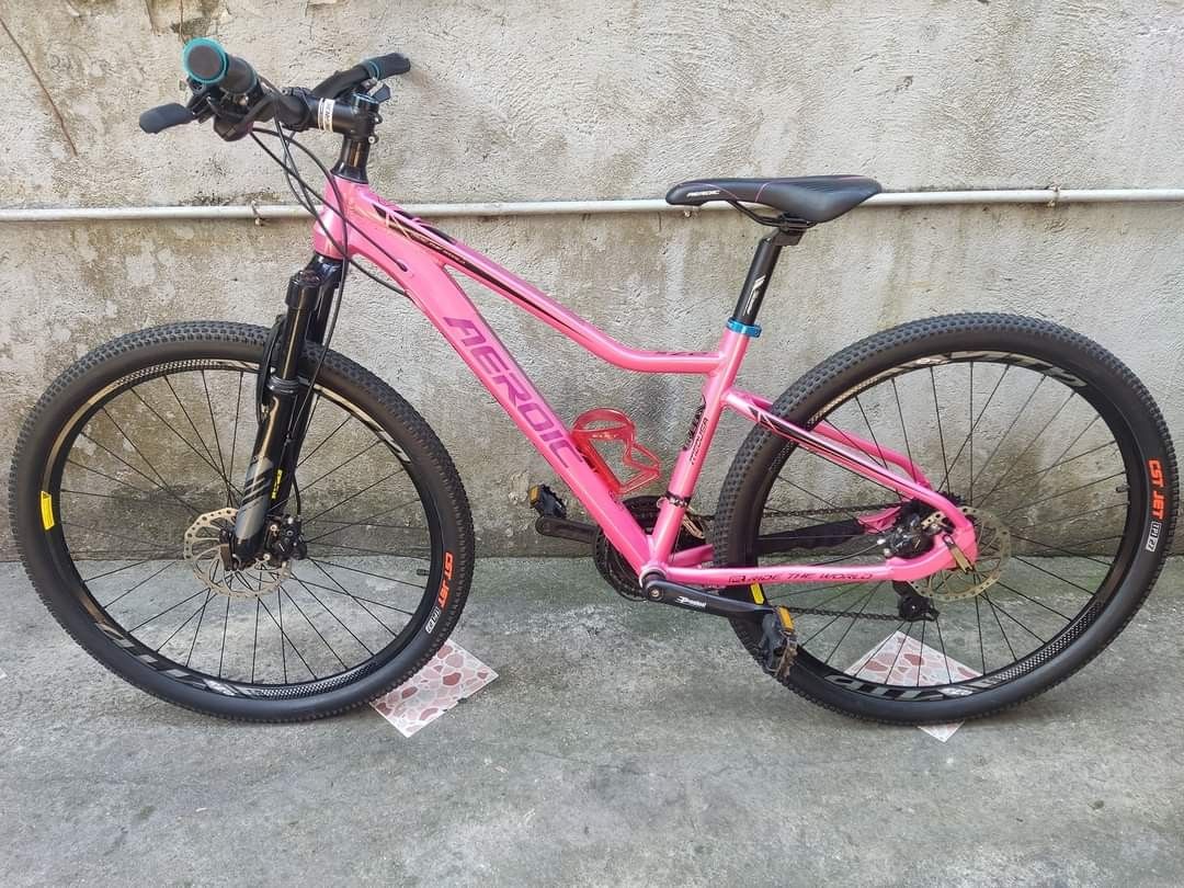 Aeroic rim 27.5 price clearance