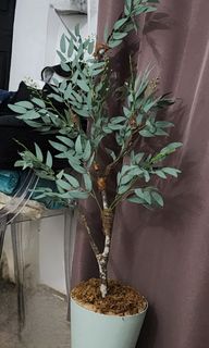 (Category: ) located in . Submitted by ladygrey2018 (Listing ID 1255169401, Image 1). Description: .