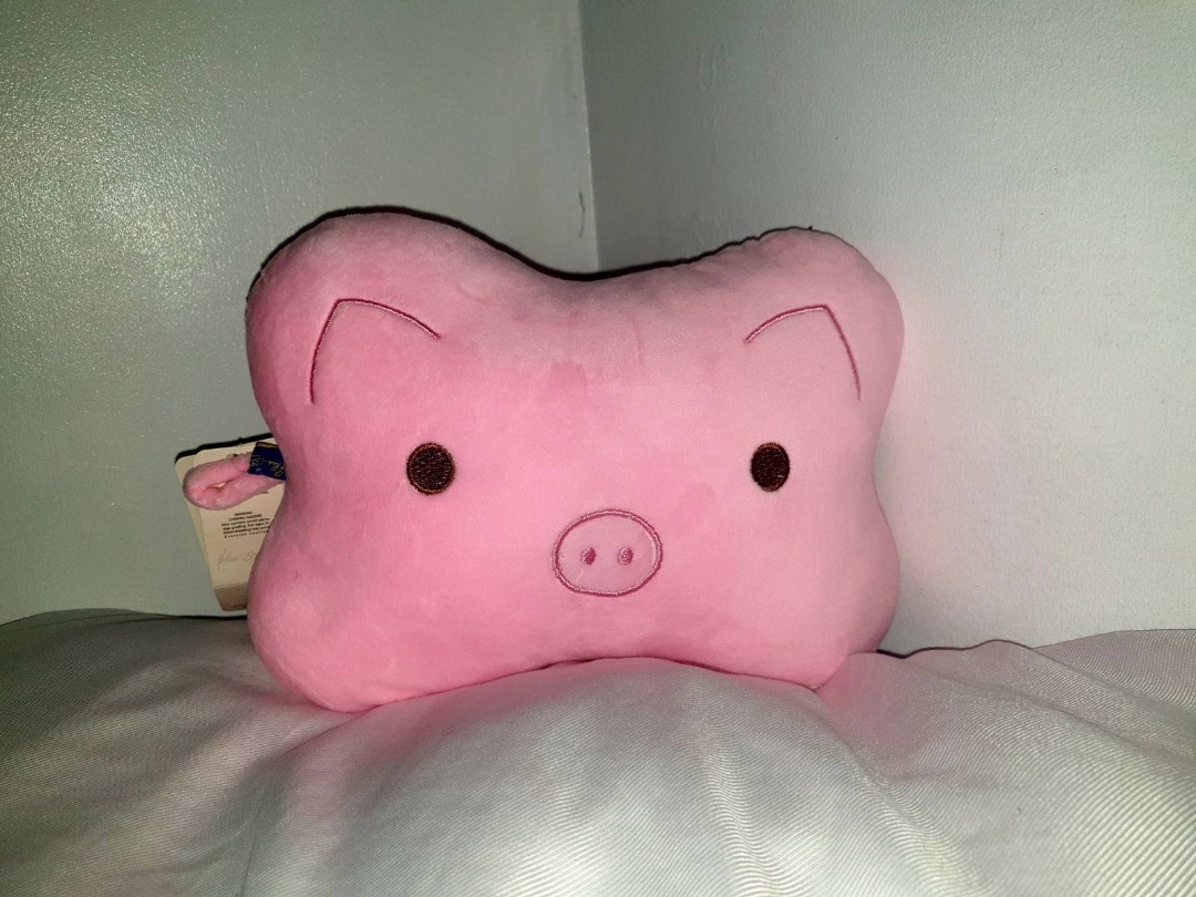 Blue magic pig top pillow