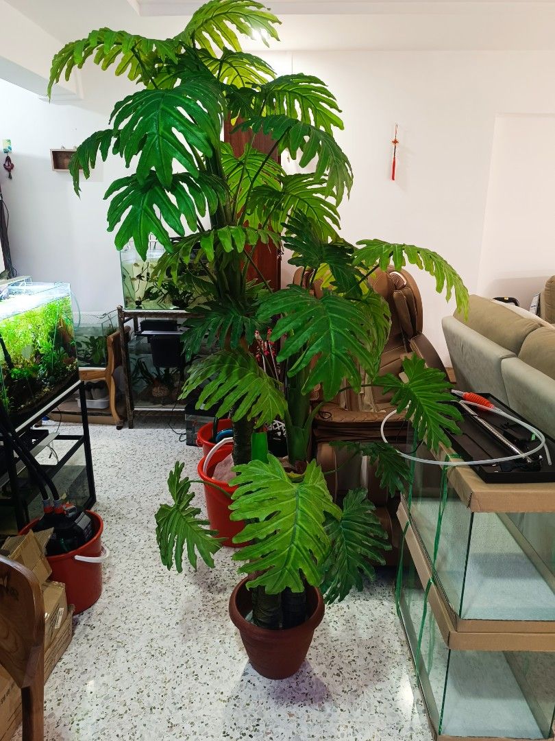 fake plastic plants decoration, Furniture & Home Living, Gardening