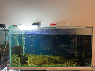 (Category: ) located in . Submitted by b2b1101 (Listing ID 1255139652, Image 1). Description: .