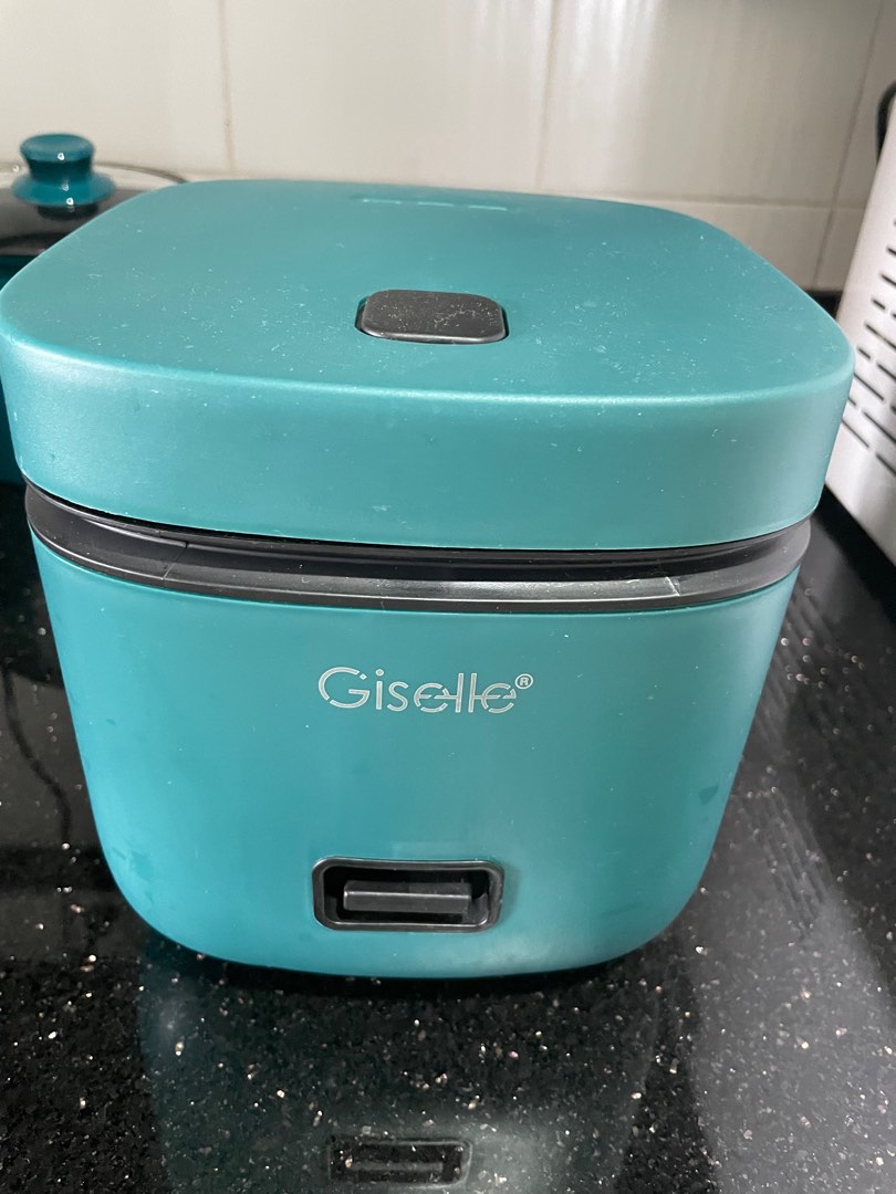 https://media.karousell.com/media/photos/products/2023/9/16/giselle_mini_rice_cooker_with__1694833032_67319dff.jpg
