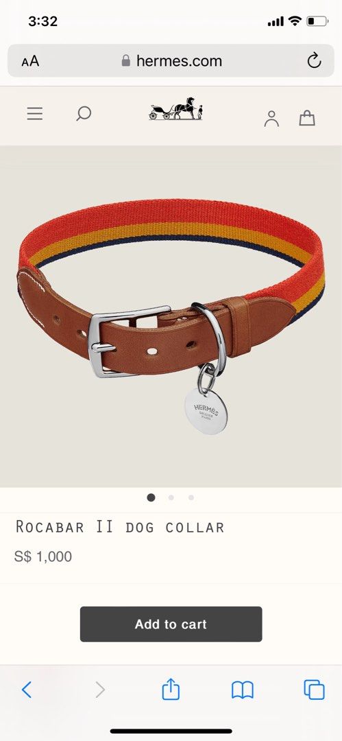 Rocabar dog collar