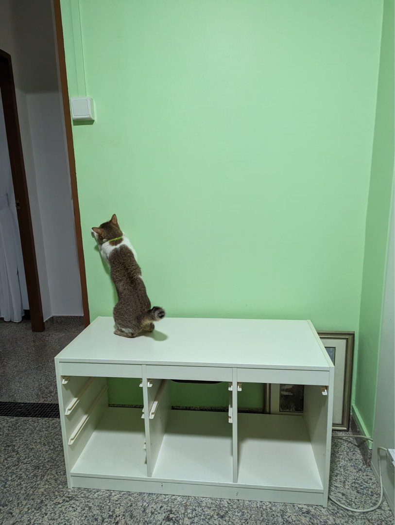 IKEA Furniture & Home Living, Furniture, Shelves