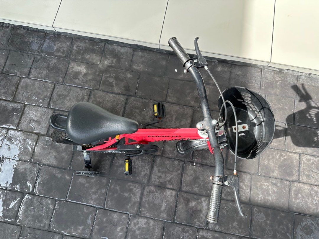 Bicicleta plegable hotsell boomerang