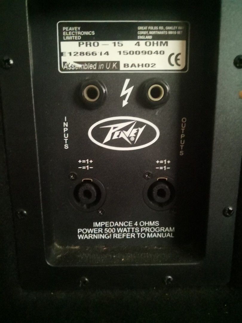 Peavey pro 15 4 store ohm