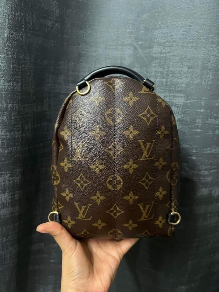 Mini Palm Springs PM  Used & Preloved Louis Vuitton Backpack