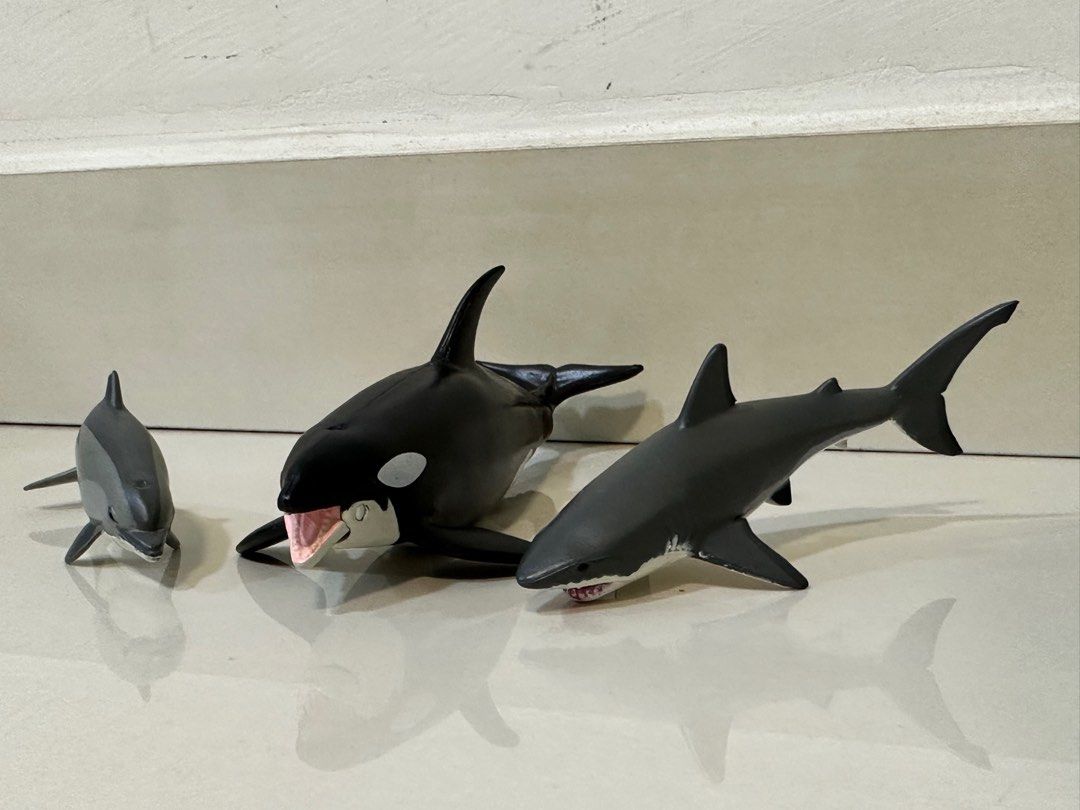 Sea Animals Takara Tomy Killer Whale Colorata Sea life Set