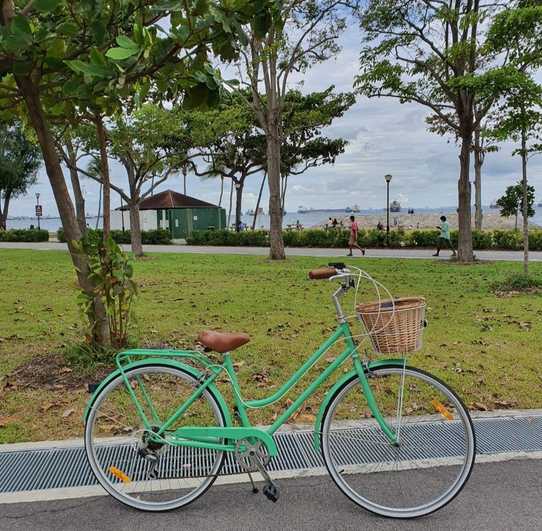 Holland vintage cruiser bike hot sale