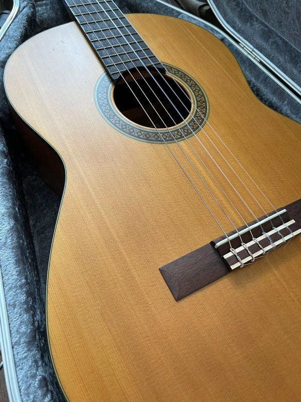Yamaha Classical CG101MS with HISCOX case , Hobbies & Toys, Music