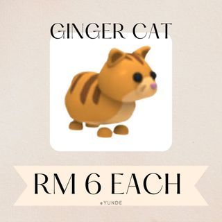 Adopt me | Ginger Cat