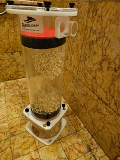 (Category: ) located in . Submitted by firefly749 (Listing ID 1255329015, Image 1). Description: .