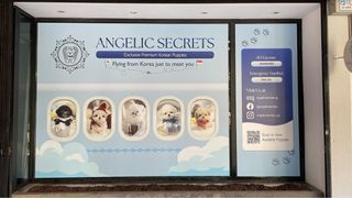 Custom Printing Decal for Windows / Wall
