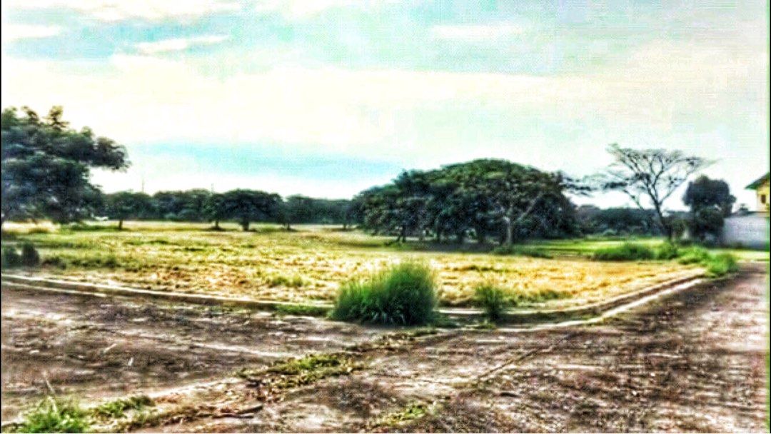 Eagle Ridge corner lot (Category: Lot) located in Manila. Submitted by lovekittygirl (Listing ID 1255200697, Image 1). Description: A corner lot of 489 sqm with 27m frontage and 22m width. It is located in an area with newly built houses at Greg Norman area and situated 500m from Main Road ( North Boulevard ) and along Bundanba and Brisbane streets. Original owner and purchased in 1994. Clean title [TCT]. Lately, a sprawling ERCC 57-hectare prope