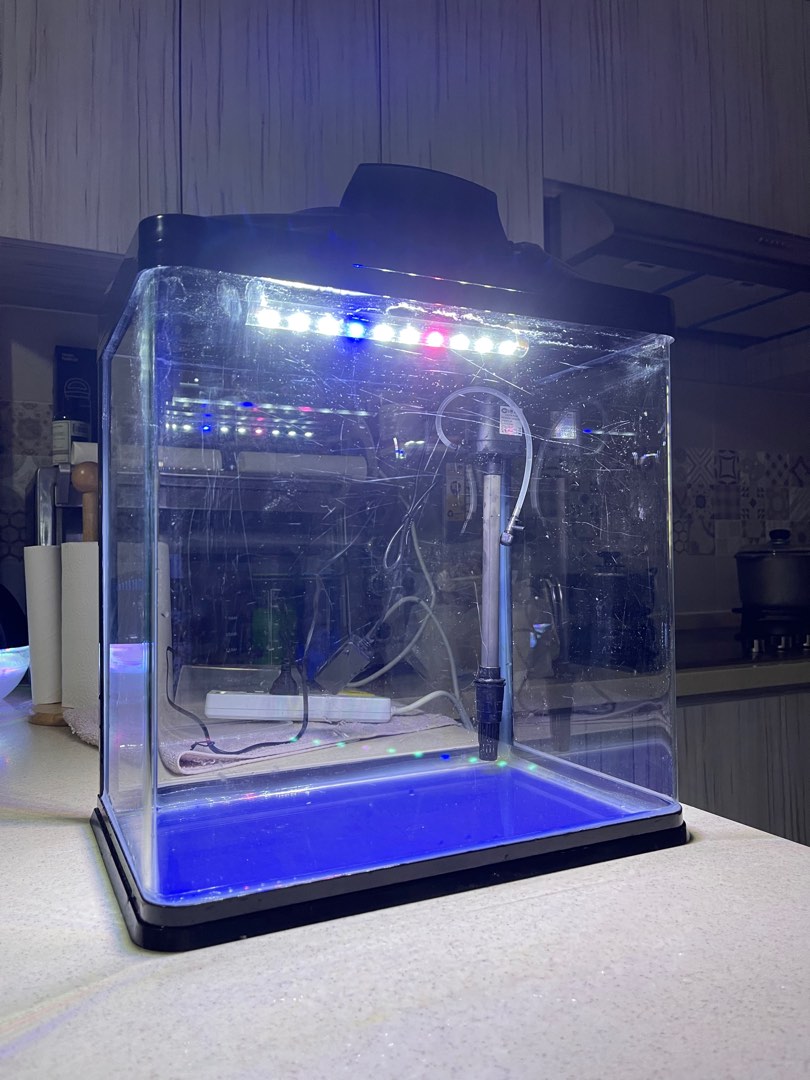 Fish tank with filter, Pet Supplies, Homes & Other Pet Accessories on