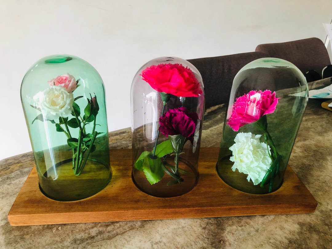 Glass dome flower display, Furniture & Home Living, Home Decor, Other