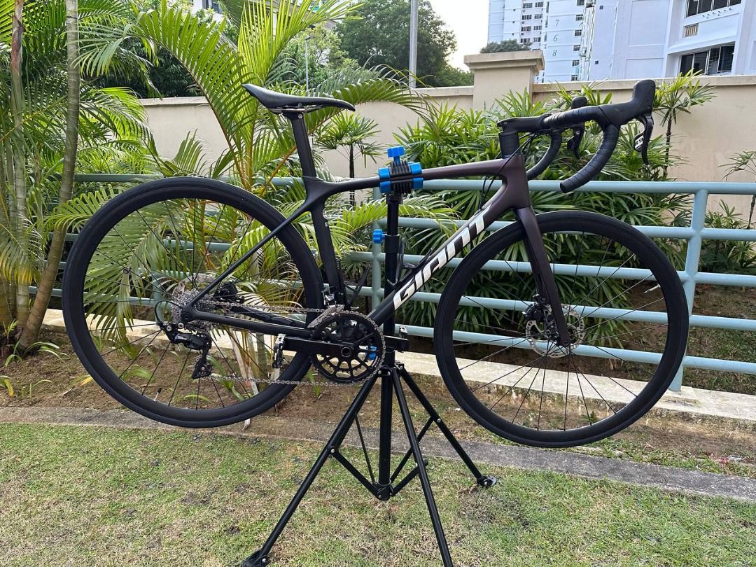 Giant tcr advanced pro 2020 frameset cheap