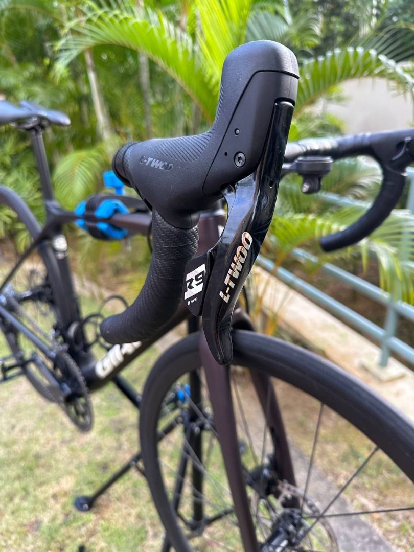MY21 GIANT TCR ADVANCED PRO 1 DISC FRAMESET WITH LTWOO HYDRAULIC