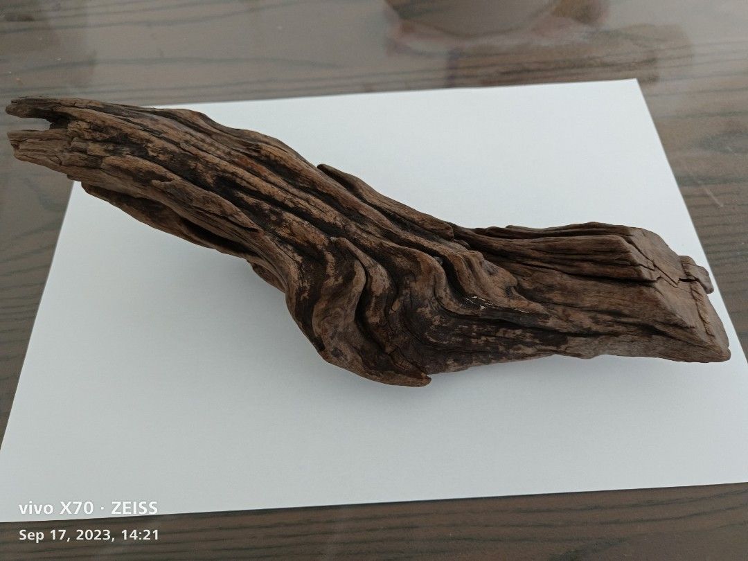 Planted Tank/Fish Tank Wood, Pet Supplies, Homes & Other Pet