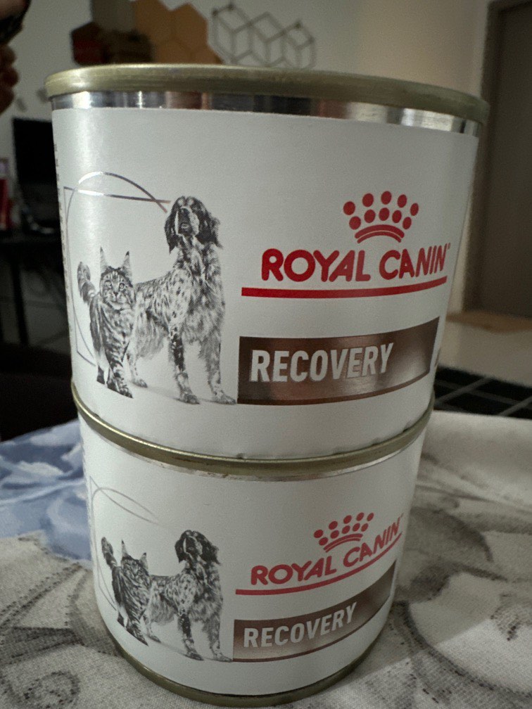 ROYAL CANIN RECOVERY CAN FOOD Pet Supplies Pet Food on Carousell