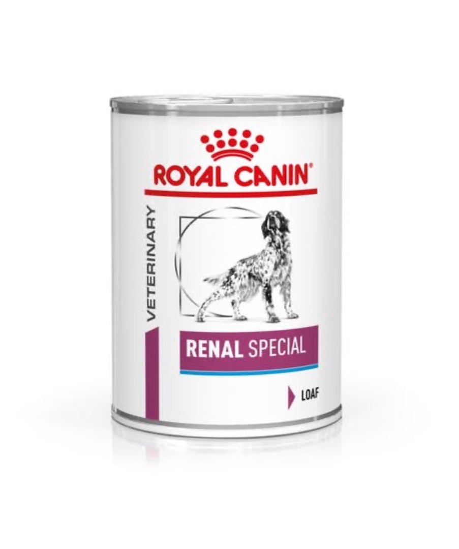Royal Canin (Renal Special), Pet Supplies, Pet Food on Carousell