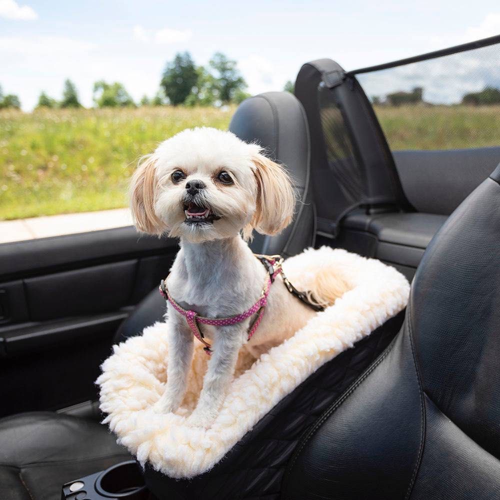 Snoozer Console Car Seat Pet Supplies Homes Other Pet