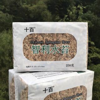 （分類：）位於 。 由 chocokoko 提交（商品編號 1255528325，圖片 1）。簡介： 。