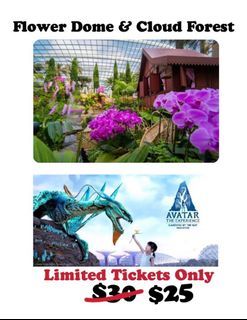 Avatar: The Experience at Cloud Forest + Flower  Dome)