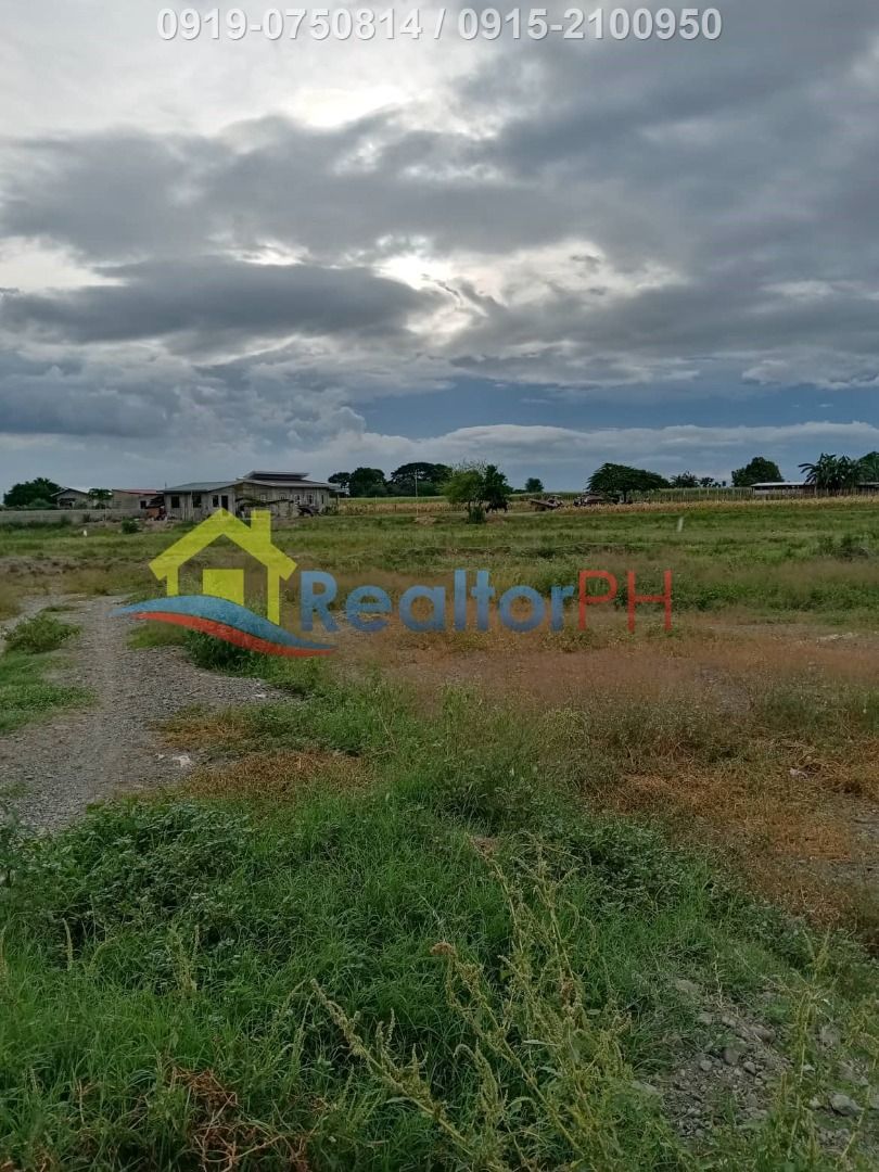 Bongabon, Nueva Ecija 3 ha Agricultural Lot, Property, For Sale, Lot on