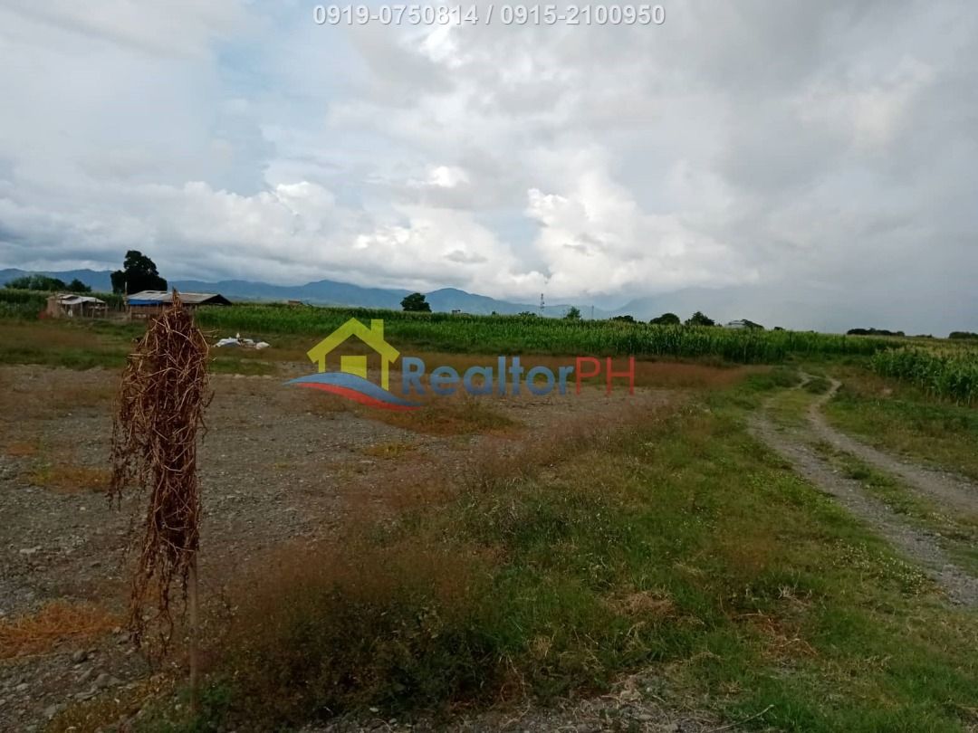 Bongabon, Nueva Ecija 3 ha Agricultural Lot, Property, For Sale, Lot on