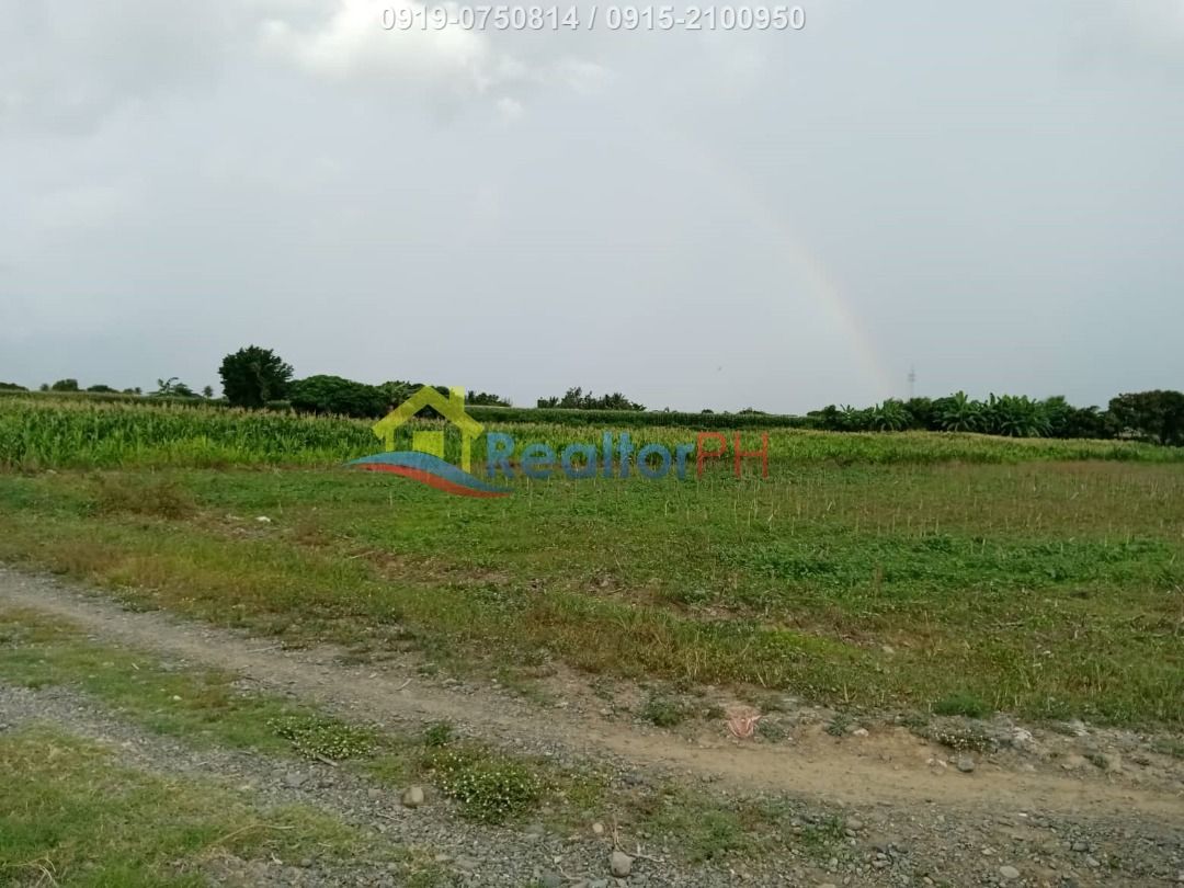 Bongabon, Nueva Ecija 3 ha Agricultural Lot, Property, For Sale, Lot on