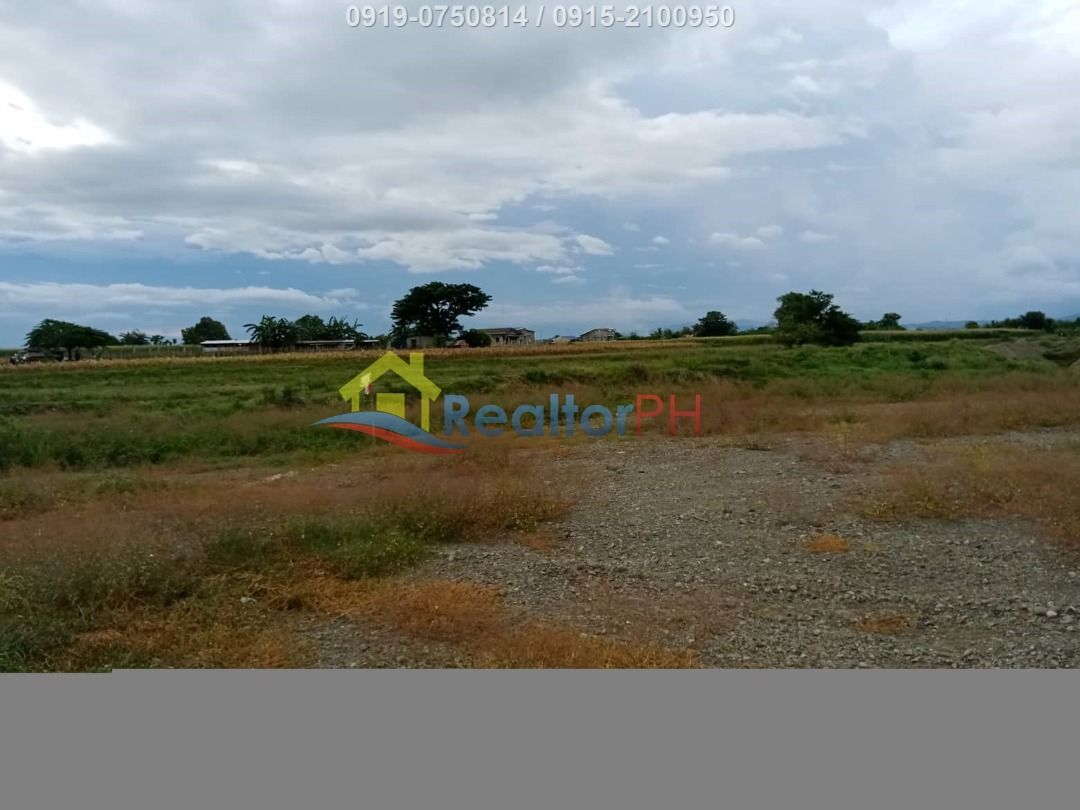 Bongabon, Nueva Ecija 3 ha Agricultural Lot, Property, For Sale, Lot on